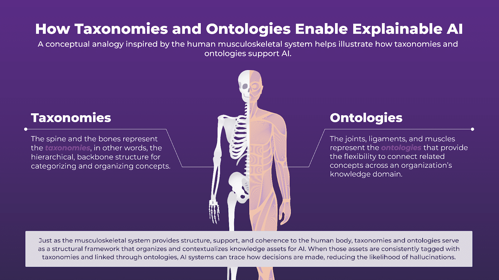 Just as the musculoskeletal system provides structure, support, and coherence to the human body, taxonomies and ontologies serve as a structural framework that organizes and contextualizes knowledge assets for AI. When those assets are consistently tagged with taxonomies and linked through ontologies, AI systems can trace how decisions are made, reducing the likelihood of hallucinations.
Taxonomies: the spine and the bones represent the taxonomies, in other words, the hierarchical backbone structure for categorizing and organizing concepts.
Ontologies: the joints, ligaments, and muscles represent the ontologies that provide the flexibility to connect related concepts across an organization's knowledge domain.